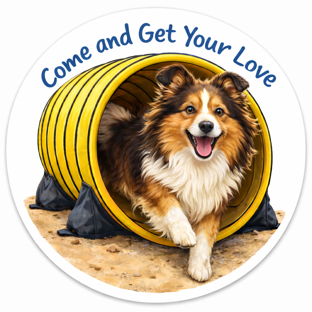 Come and Get Your Love / Shetland Sheepdog / 3" vinyl sticker